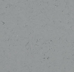 Кварцвиниловые полы Forbo Allura Colour/Colour Plus C68038-651038 neutral grey фото 1 | FLOORDEALER